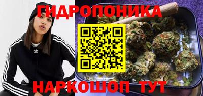 a pvp Рузаевка