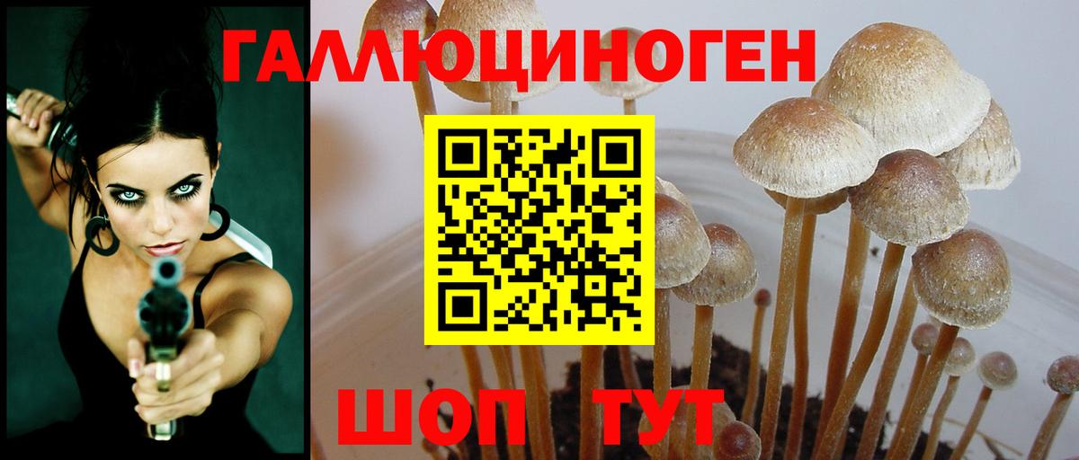 Галлюциногенные грибы ЛСД Прохладный