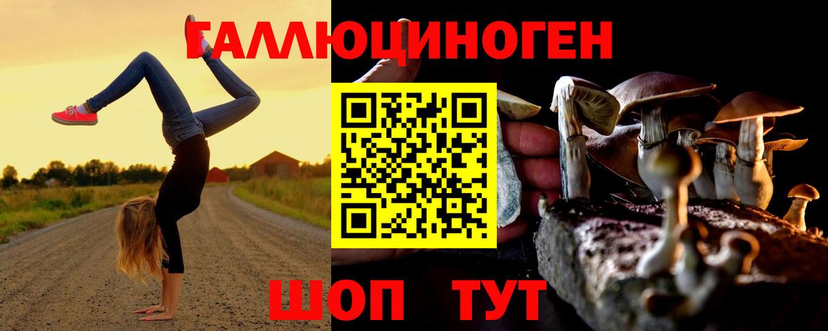Псилоцибиновые грибы GOLDEN TEACHER  Вход с VPN  Прохладный 